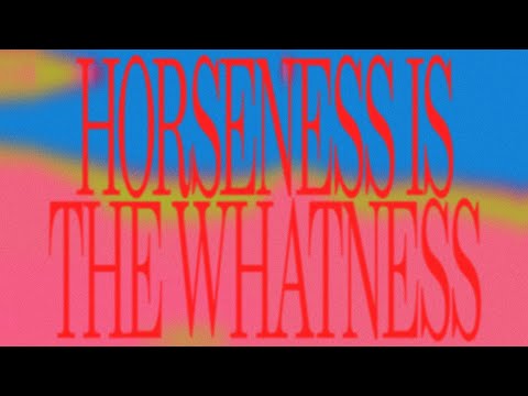 Fontaines D.C. - Horseness is the Whatness (Lyric Video)