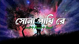 𝐒𝐨𝐧𝐚 𝐩𝐚𝐤𝐡𝐢 𝐋𝐨-𝐅𝐢-সোনা পাখি||𝐖𝐡𝐲 𝐥𝐨𝐯𝐞 𝐋𝐨𝐟𝐢