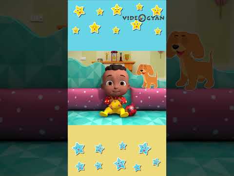 Animals Shorts | Bobo's World Learning Series #youtubeshorts #animation #cartoon