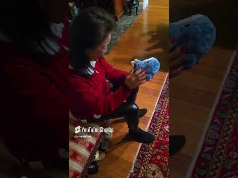 This plushie made her hysterical #cute