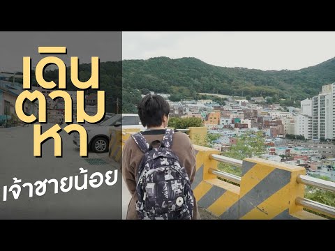เดินตามหาเจ้าชายน้อย ที่ปูซาน เกาหลีใต้