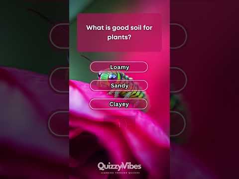 💧🐝 Gardening Quiz! Watering Right, Soil Secrets & Attracting Bees! 🌸
