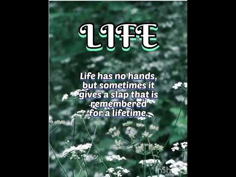 Life is short live every day. ... #motivation
