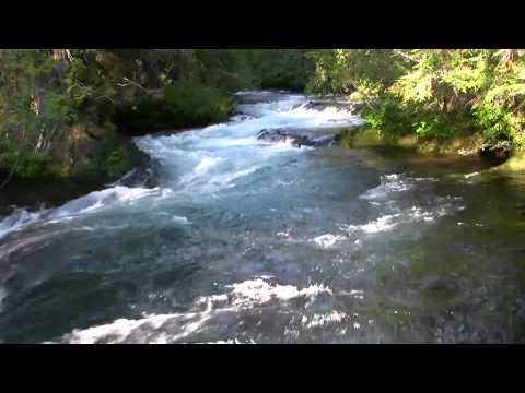 Very Relaxing 3 Hour Video of a Mountain Stream