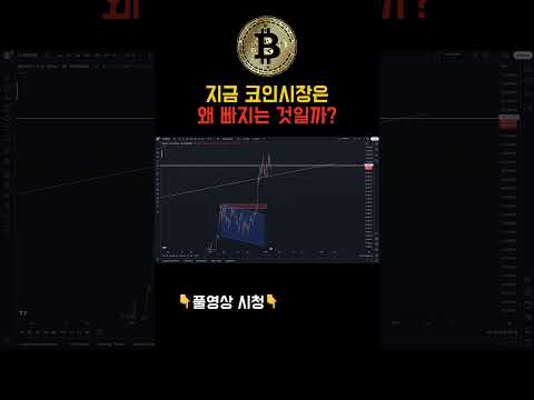 비트코인 시장이 빠지는 이유 Part5 #비트코인 #비트코인전망 #코인