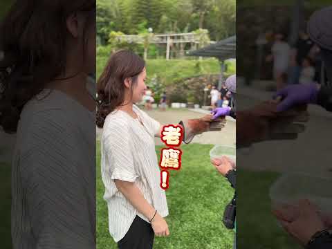 山林裡的動物園🦆🐢