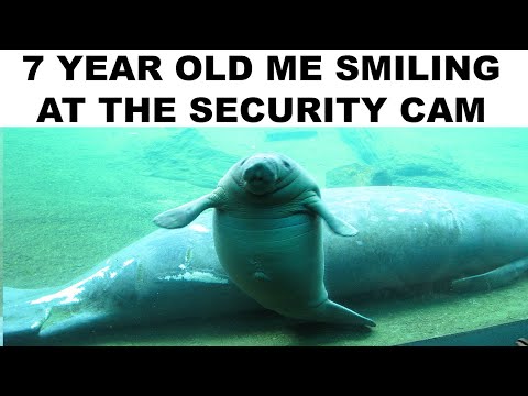 Memes Caught on Security Camera