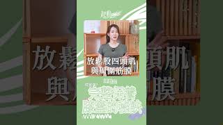 保養膝蓋的小訣竅 #啾c物理治療師 #膝蓋痛 #SHORTS #髕骨股骨疼痛症候群