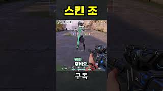 스킨 조