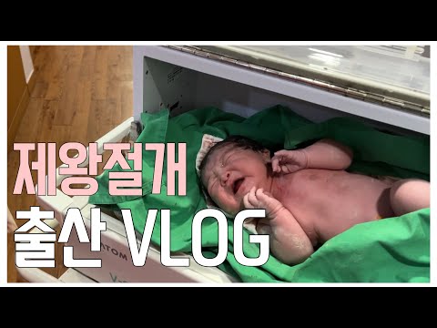 [제왕절개 출산 브이로그] 40주0일 블랑이 태어났어요 ! 제왕절개 회복과정 찐 후기