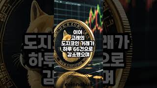도지코인(DOGE) 네트워크 활동, 작년 10월 이후 최저 수준... (25년02월25일)