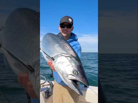 Chromers all day!!