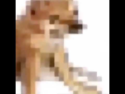 Shitpost