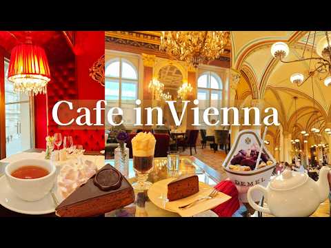 Gorgeous Vienna Café  Tour: 5 Must-Visit Spots│Tasting Sachertorte at Sacher and Demel │ Austria