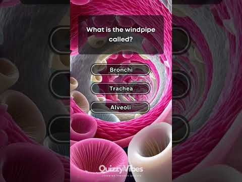 👂🩸 Human Body Quiz! Balance, Blood Flow & Skin Layers! 🧠