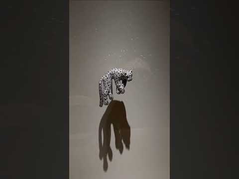 Cartier and Women| 百樣玲瓏—卡地亞與女性| 香港故宮文化博物館｜展覽｜珠寶｜Cartier | 香港中古店