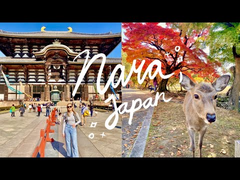 NARA & OSAKA | Nara Deer Park, Shinsekai, & More!