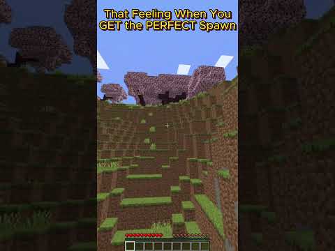 Its AMAZING! #minecraft #minecraftshorts #minecraftseeds #minecraftmemes #minecraftdance