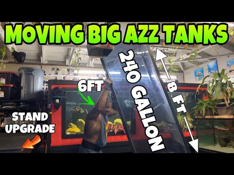 MOVING BIG AZZ TANKS