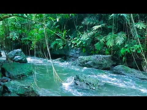 Definitely sleep soundly with sound of mountain streams, Relaxing River Sounds that soothes the soul