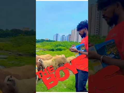 The Boyz🤣#shortsvideo #funny #youtubeshorts #trendingshorts #viral