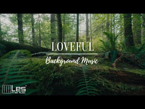 Loveful : Lofi Electronic Chill Meditative Background Music