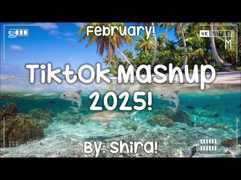 Tiktok Mashup 2025! 🦈