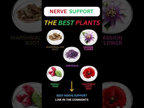 How to Support Nerve Health - 5 Powerful Plants