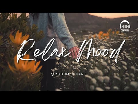 Calm Relaxing Guitar Music for Work 🎶 Study 🎶 Focus  🌿 1 HOUR +