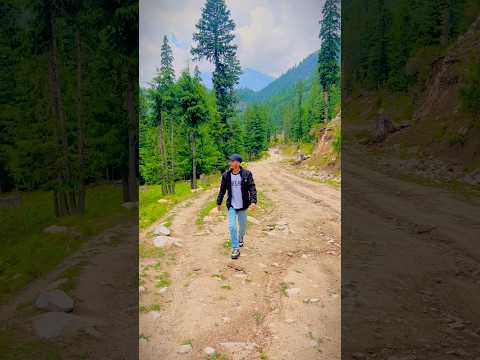Kumrat Valley Track ❤️🌺 #shorts #youtubeshorts #explore #track