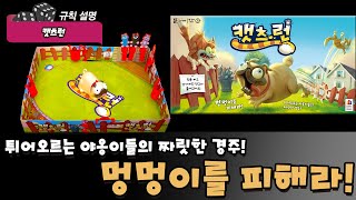 캣츠 런