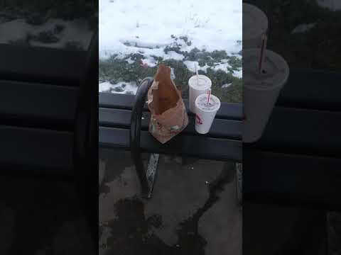 The Reason Why Litter Bugs Are Idiots