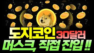 [도지코인 DOGE] 미국 정부 결제 코인은 도지가 될 것! 일론 머스크는 도지를 30달러까지 올릴 것!