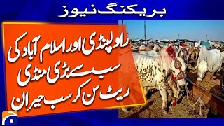 Rawalpindi and Islamabad Maweshi Mandi rates - Breaking News