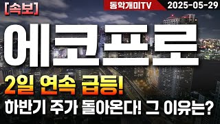 에코프로-2일 연속 급등! 하반기 주가 돌아온다! 그 이유는?