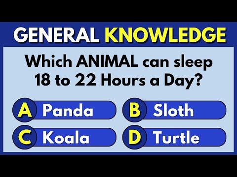 Get Ready! This 30-Question Quiz Will Test EVERYTHING You Know!