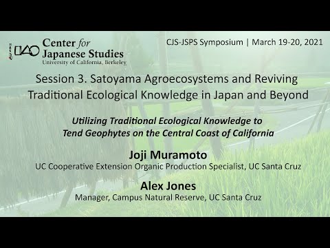Utilizing Traditional Ecological Knowledge to Tend Geophytes on the Central Coast of California