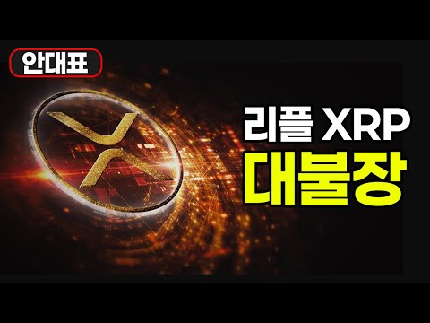 리플 XRP 스테이블 코인 USDB 출시! 동시에 대불장 시그널 포착!