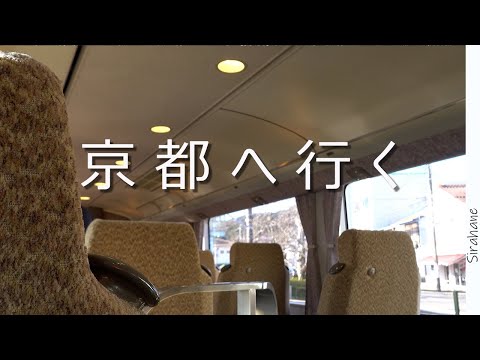 呪われている気がする人が京都へ梅を見に行く｜自分を甘やかす旅