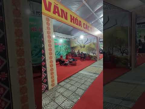 "Cultural Vibes: Traditional Vietnamese Party Highlights"