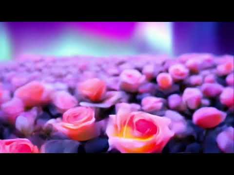 Joyful #1|Peaceful Relaxing Calming Meditation Music 静心疗愈#放松心情冥想音乐