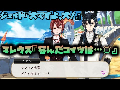 【ツイステ】犬と猫を間違えるジェイドにブチギレちゃいそうになるマレウスwww【ツイステッドワンダーランド】 【Twisted-Wonderland】