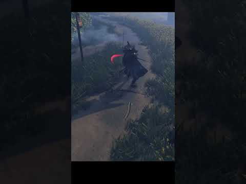 Ghost of Tsushima Straw hat  #ghostoftsushima #jinsakai