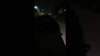 보이져125 새벽 시골 밤바리 드라이브
