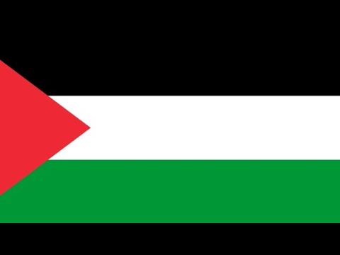 Drawing palestine and then coming back (Roblox Spray paint) 🇵🇸