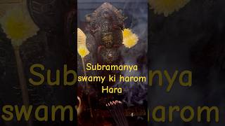 Subramanayaswamy #tuesdayvibes