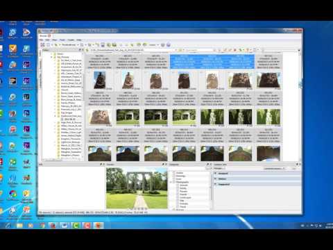 NIK and GIMP #4 -- RAW Files Conversion with XnViewMP