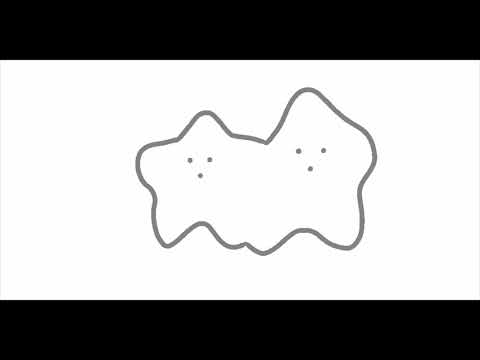 Sucklet Mitosis