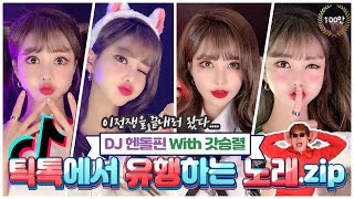 2021틱톡에서 유행하는 노래 DJ헨돌핀(with 갓승렬) #237