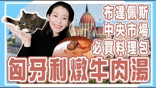 《聖嫂動手做》布達佩斯中央市場必買伴手禮！匈牙利燉牛肉湯料理組【聖嫂DODO】